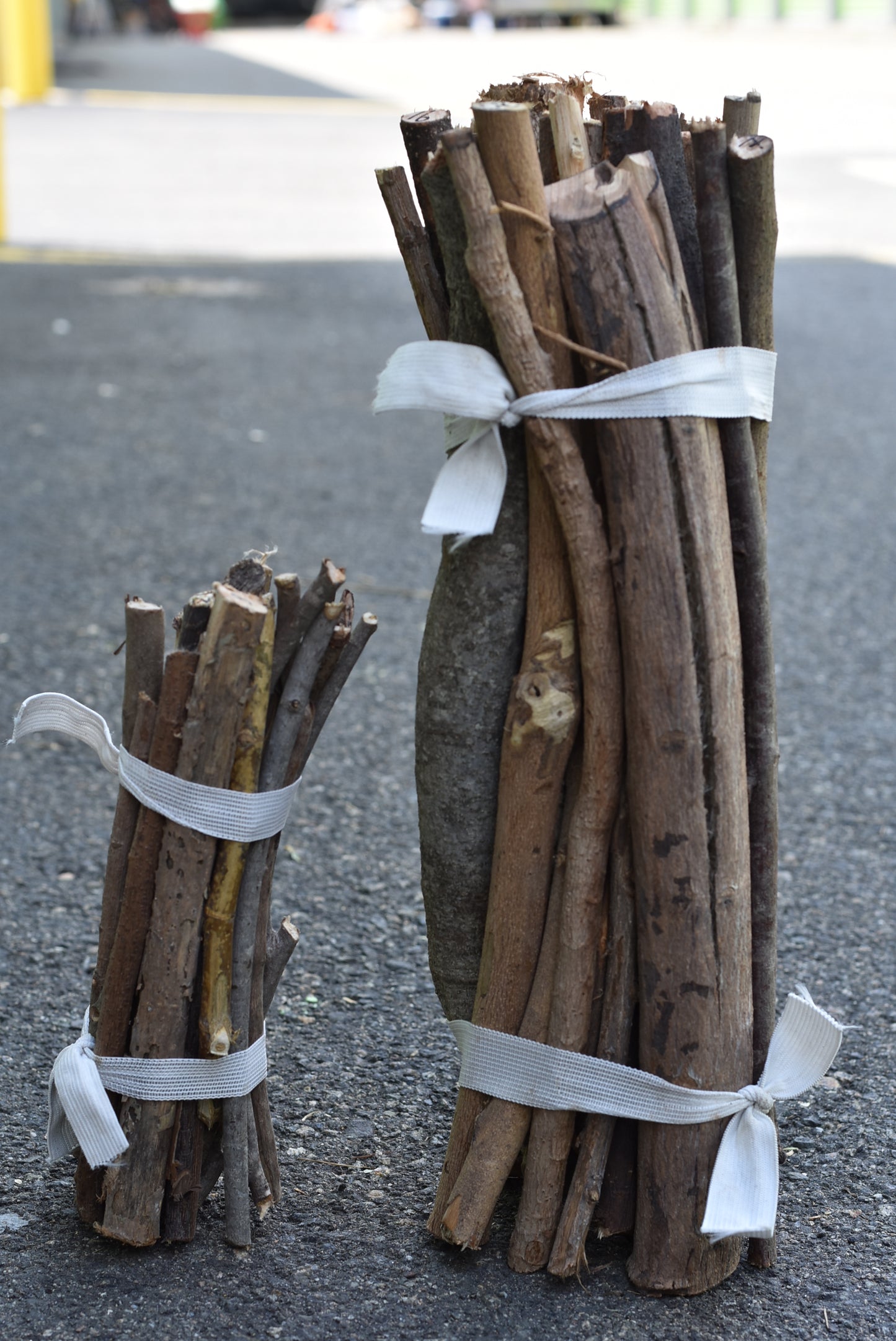 Bundle 21 Sticks (Carga de Palos)